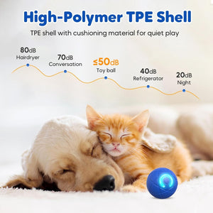 Dog and cat lying next to a blue ball with sound level comparison on a white background at Pet Servo