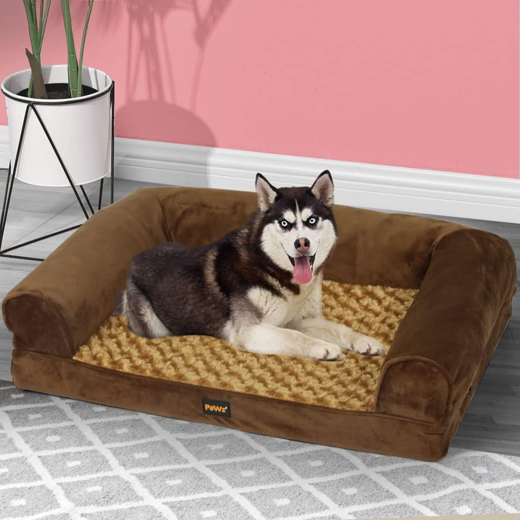 Dog lying on a brown pet bed with a pink wall and plant in the background at Pet Servo