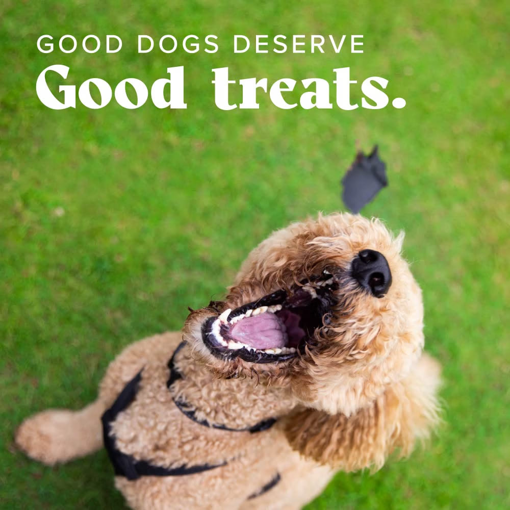 A fluffy light brown dog sitting on green grass with the text 'GOOD DOGS DESERVE Good treats.' overlaid at the top.