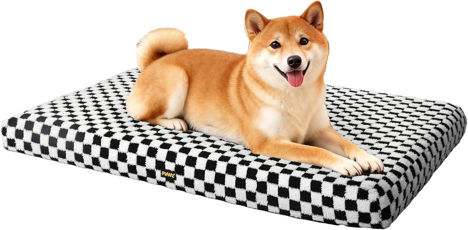 Dog lying on a checkered pet bed with a white background at Pet Servo