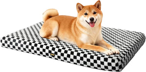 Dog lying on a checkered pet bed with a white background at Pet Servo