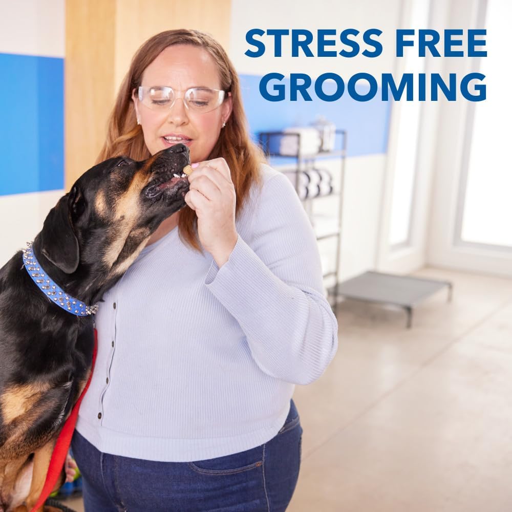 Woman petting a dog with 'Stress Free Grooming' text in a veterinary clinic setting