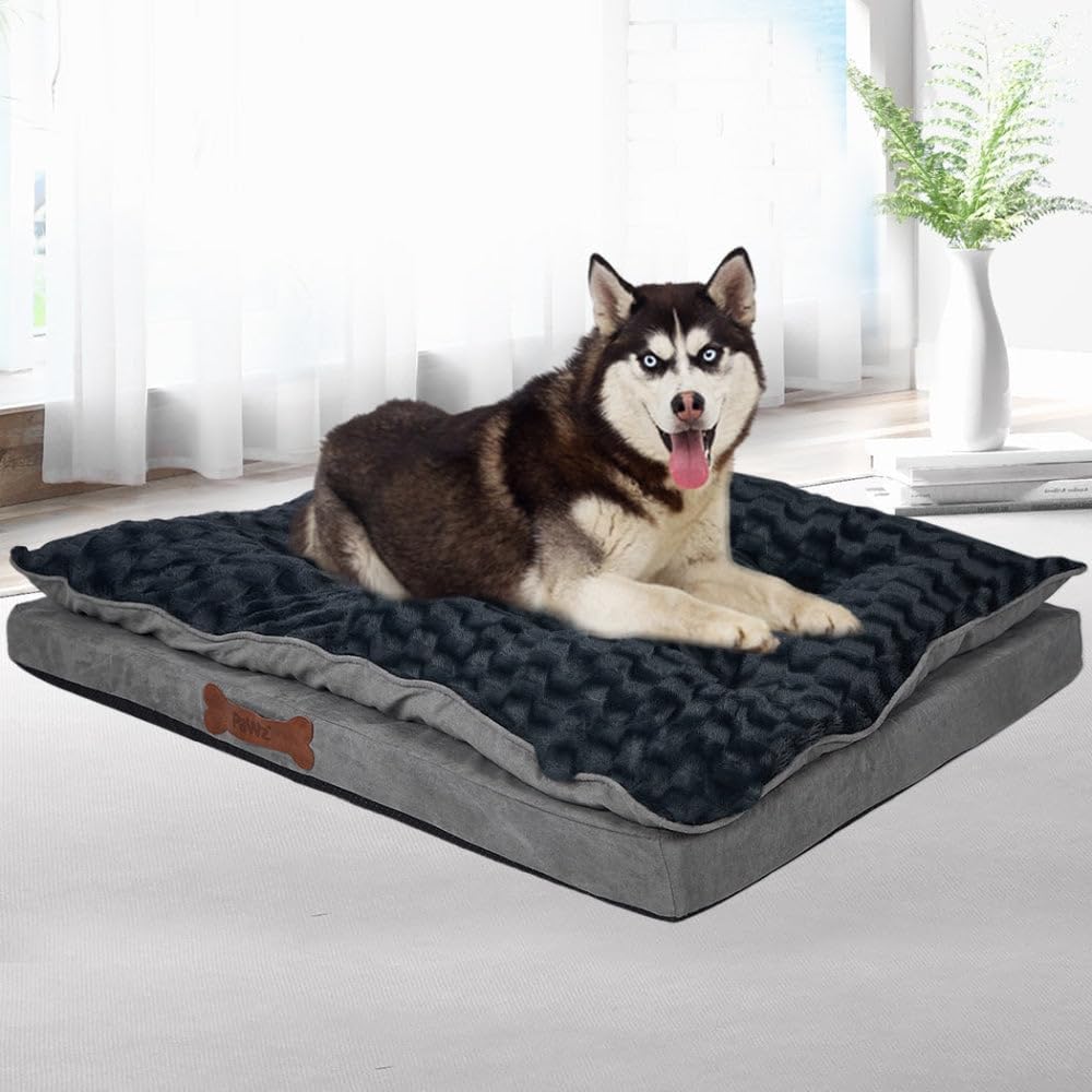 Dog lying on a large pet bed in a bright room with a plant and window in the background at Pet Servo