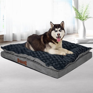 Dog lying on a large pet bed in a bright room with a plant and window in the background at Pet Servo