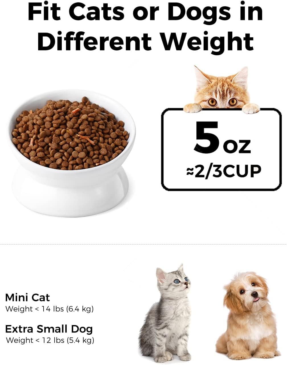 Cat food bowl with text about weight categories for cats and dogs, including a 5 oz measurement at Pet Servo