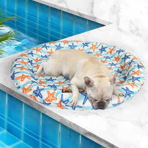 A light cream French Bulldog rests on a round, low-profile pet bed with a blue and orange starfish pattern, positioned on a white marble ledge next to a blue tiled swimming pool at Pet Servo