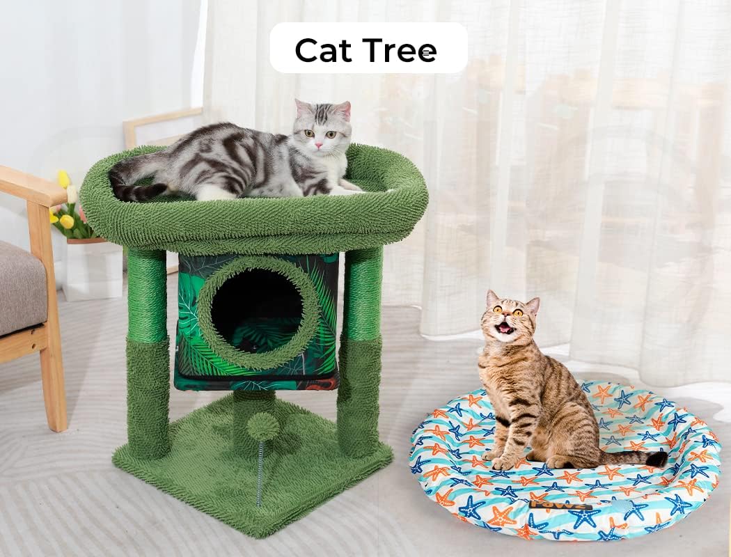 A green cat tree with a gray tabby cat lying on the top platform and a second orange tabby cat sitting on a round blue star-patterned pet bed nearby. The scene is indoors with curtains and a chair visible in the background, and the words 'Cat Tree' appear at the top at Pet Servo