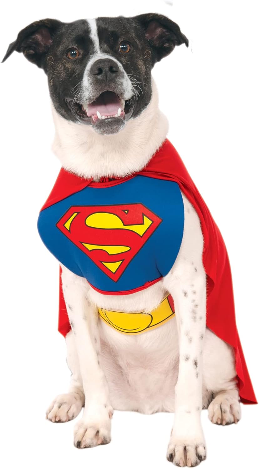 Dog wearing a Superman costume with a red cape and blue chest emblem at Pet Servo
