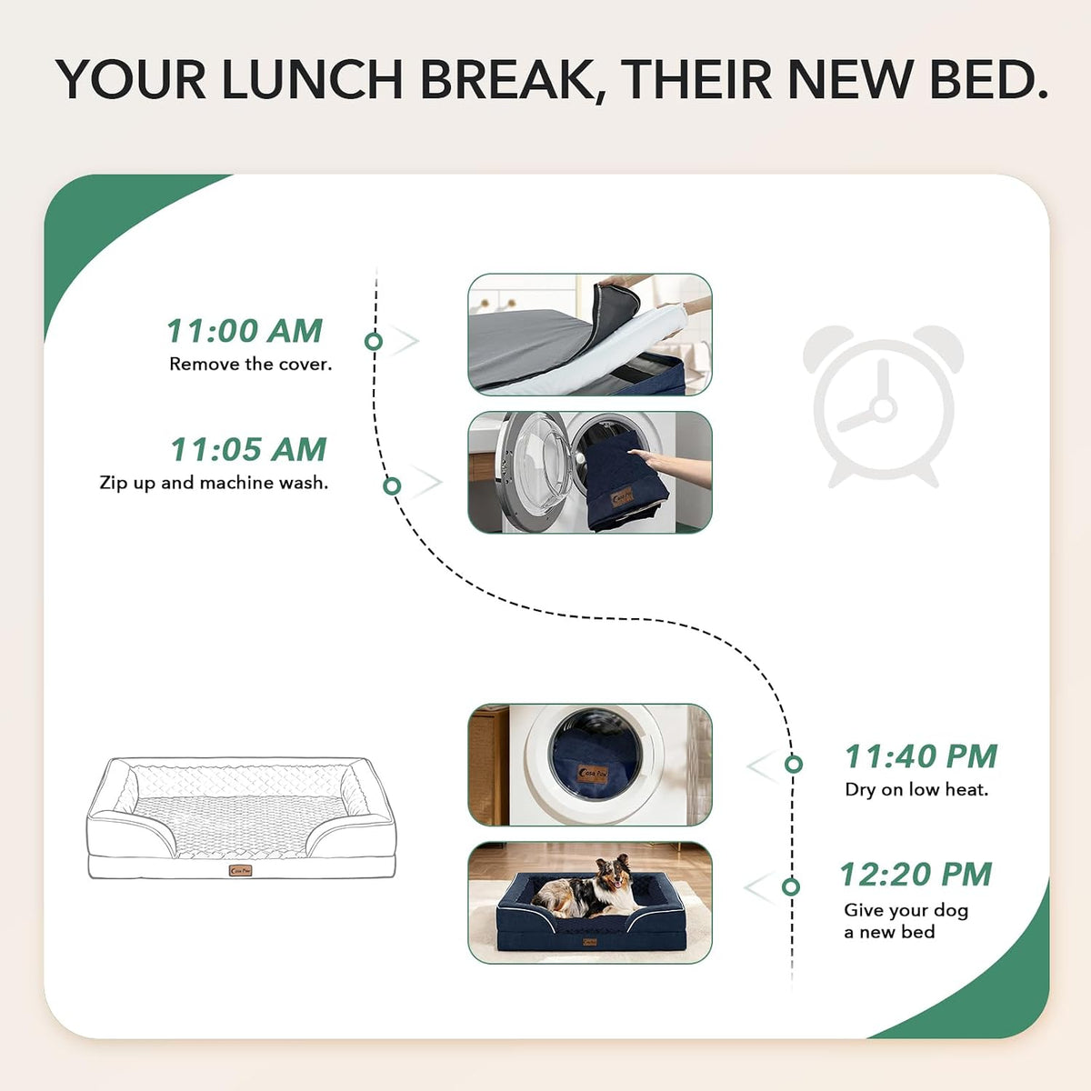 An infographic titled 'YOUR LUNCH BREAK, THEIR NEW BED.' shows how to clean and dry a pet bed at Pet Servo