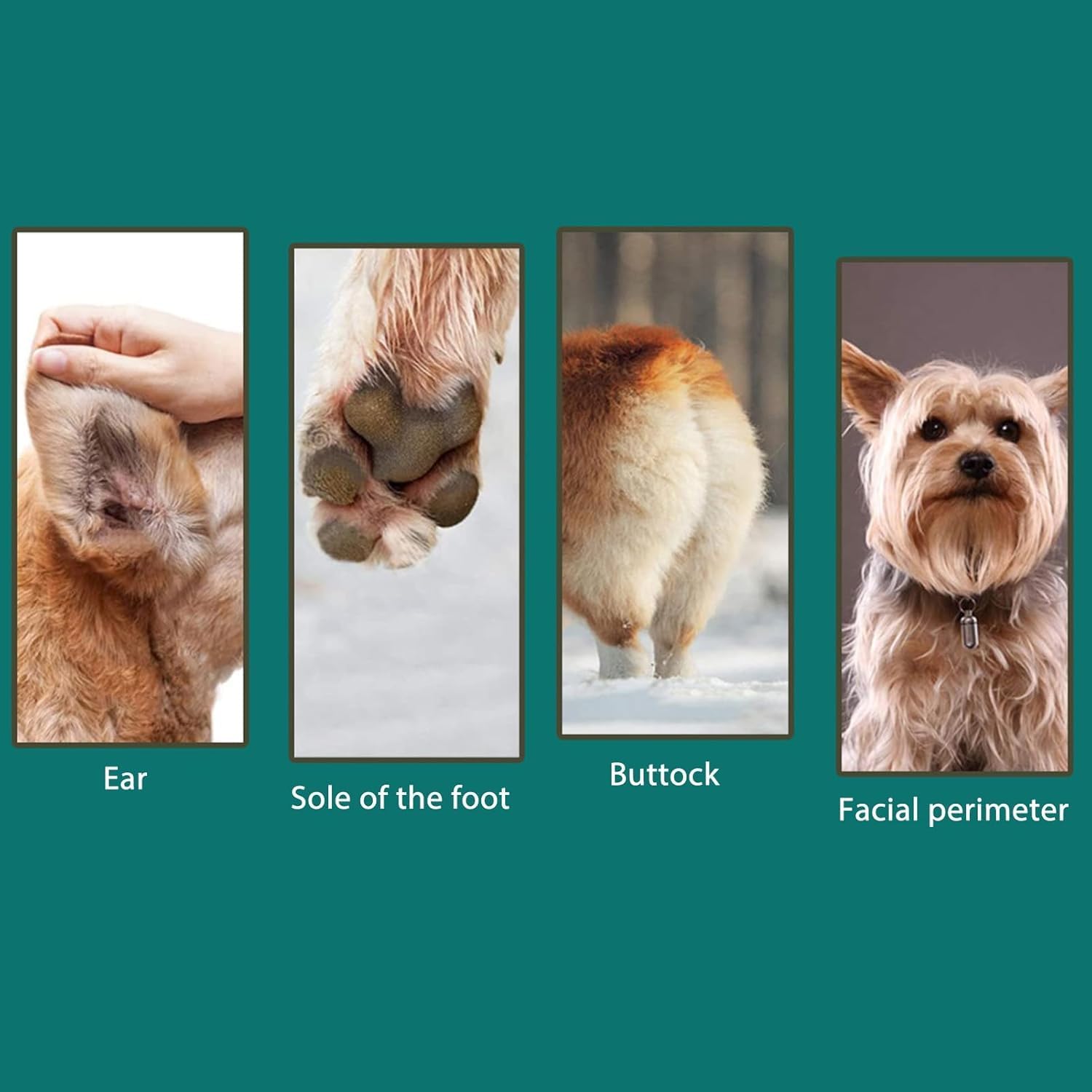 Buy TimeVrinql 4 in 1 Kit Paw Trimmer at Pet Servo