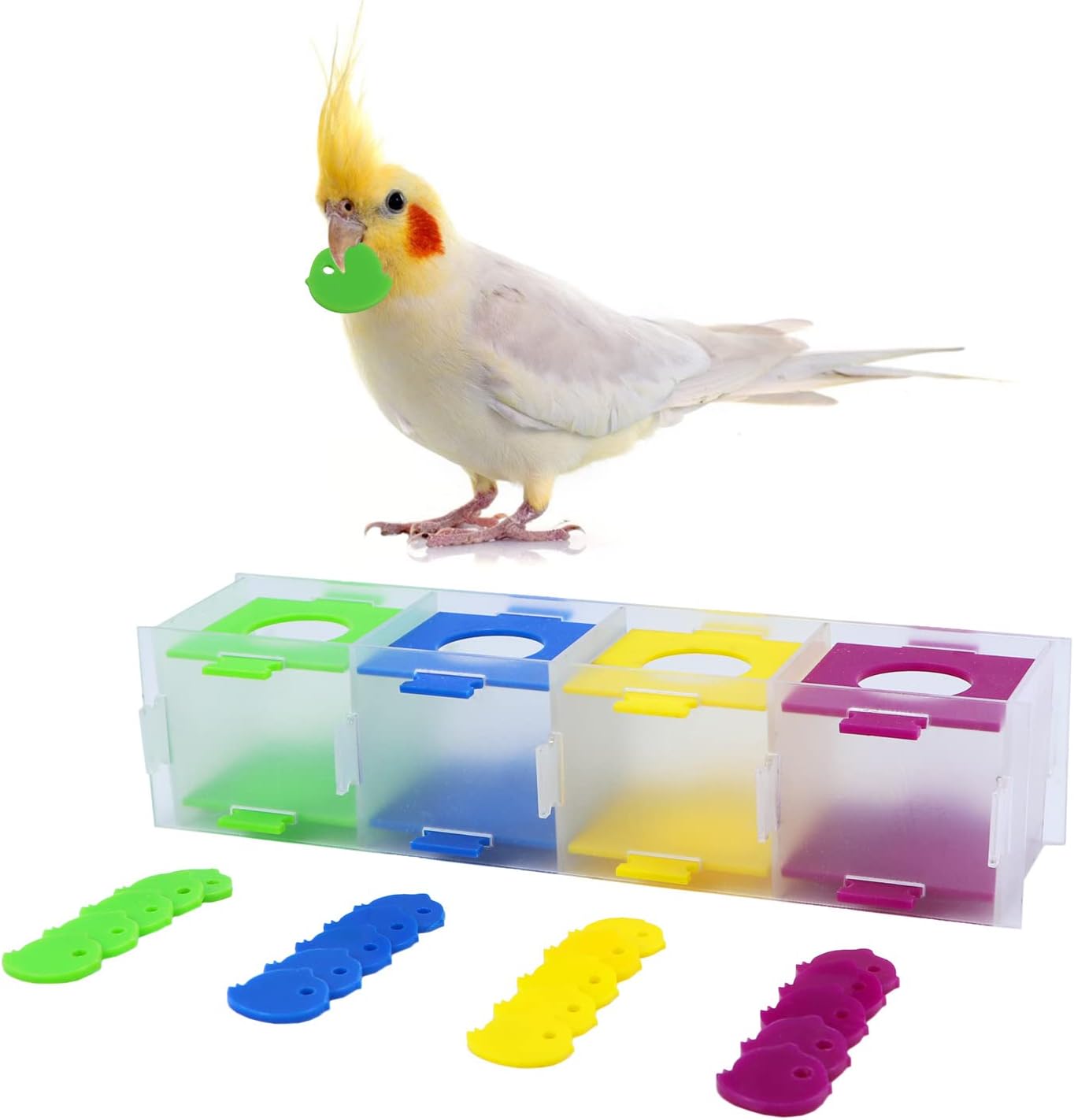 Colorful pet toy set with a bird on a white background at Pet Servo