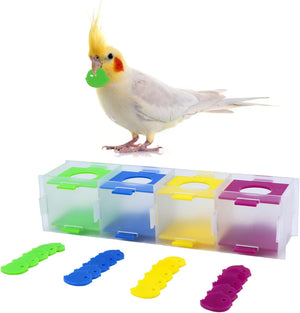 Colorful pet toy set with a bird on a white background at Pet Servo