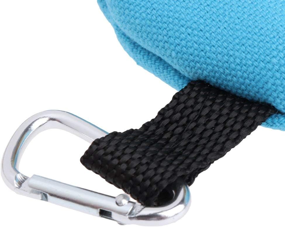Close-up of a blue pouch with a black strap and silver carabiner on a white background at Pet Servo