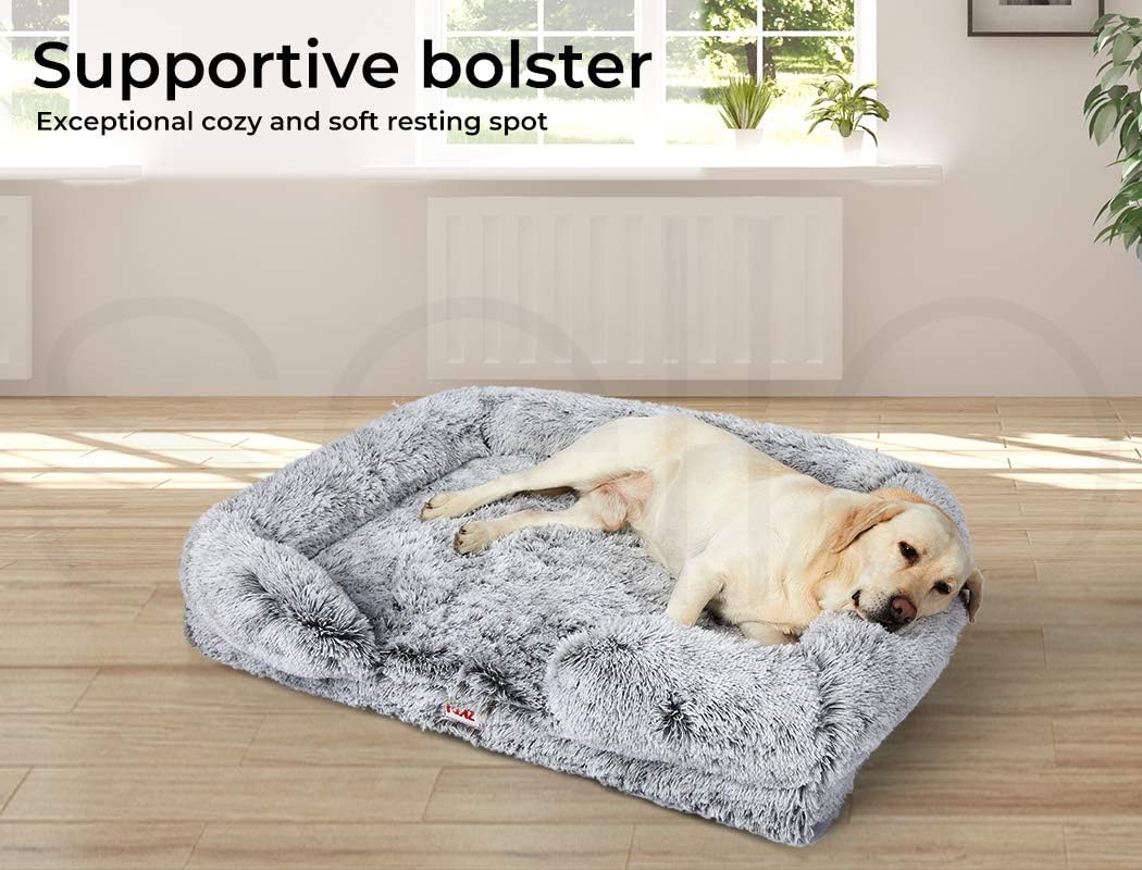 Dog lying on a supportive bolster bed in a room with a window and plants at Pet Servo
