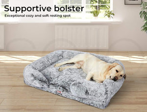 Dog lying on a supportive bolster bed in a room with a window and plants at Pet Servo