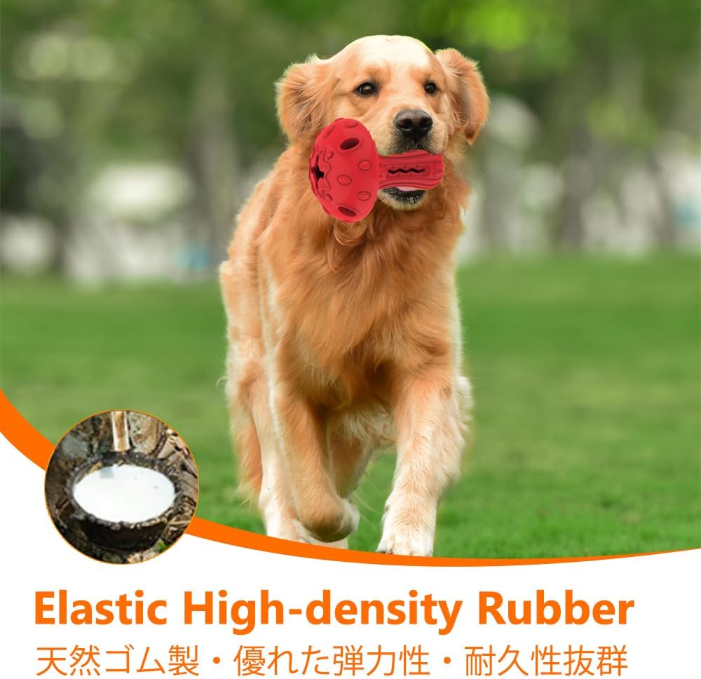 Dog running with a red rubber toy in its mouth on a grassy field at Pet Servo