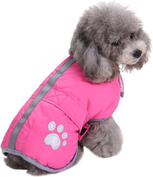 Small dog wearing a pink quilted jacket with reflective stripes on a white background at Pet Servo