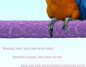 Colorful parrot perched on a purple perch with text about mineral grit and safety at Pet Servo