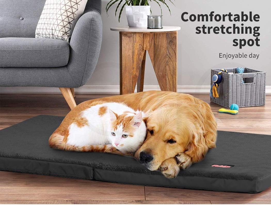 Dog and cat lying on a large black pet mat in a cozy living room at Pet Servo