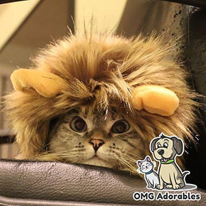 Cat wearing a lion costume with 'OMG Adorables' logo in the corner at Pet Servo