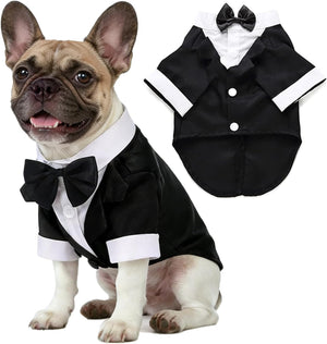 A French bulldog wearing a black and white tuxedo costume, shown alongside a flat-lay view of the costume on a white background.