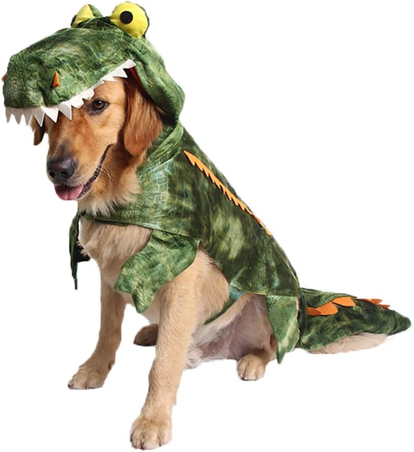 Dog wearing a green dinosaur costume on a white background