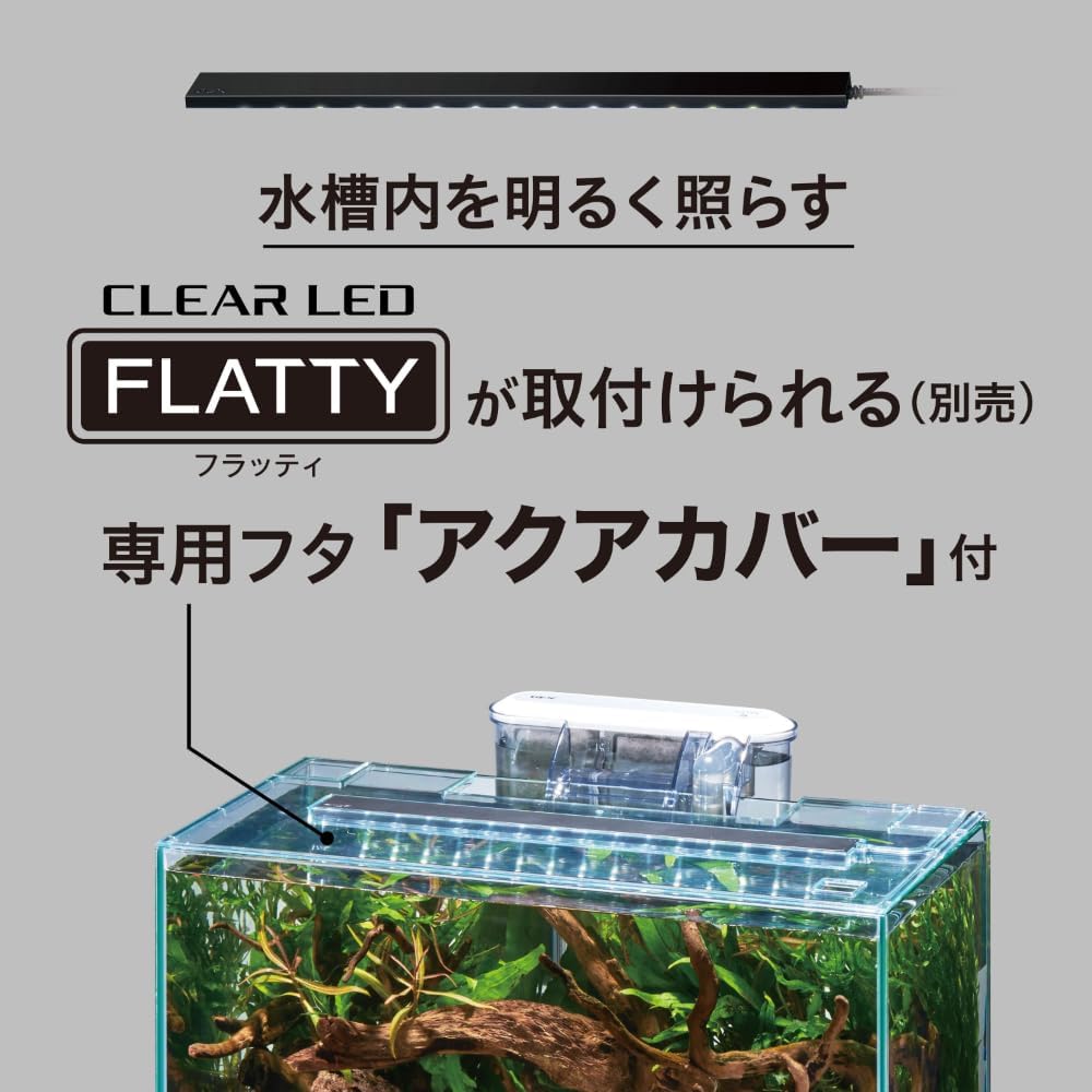 Aquarium with a clear LED light labeled 'FLATTY' on a gray background at Pet Servo