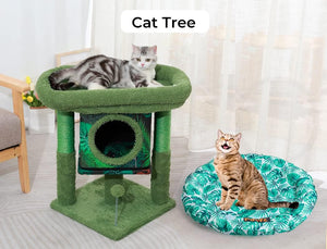 A green cat tree with a gray tabby cat lying on the top platform and a second orange tabby cat sitting on a matching green-and-white leaf-patterned pet bed beside it. The scene is indoors with sheer curtains and a chair partially visible at Pet Servo