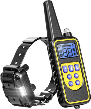 Dog training collar with remote control on a white background at Pet Servo