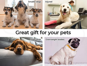 A four-panel pet-themed collage with text labels: three small dogs at top left, an injured cream-colored dog at top right, an older brown dog resting on a couch at bottom left, and an overweight pug at bottom right. Large center text reads, 'Great gift for your pets at Pet Servo