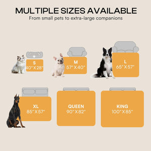 Dog bed size chart with dogs of various sizes and corresponding dimensions.