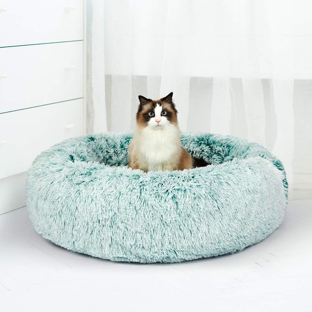A fluffy round pet bed in light aqua blue, with a long-haired cat sitting inside, set against a bright white room background with sheer curtains at Pet Servo