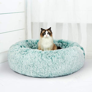 A fluffy round pet bed in light aqua blue, with a long-haired cat sitting inside, set against a bright white room background with sheer curtains at Pet Servo