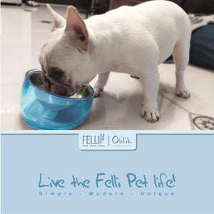 White dog drinking from a blue and silver pet bowl with Felli branding at Pet Servo