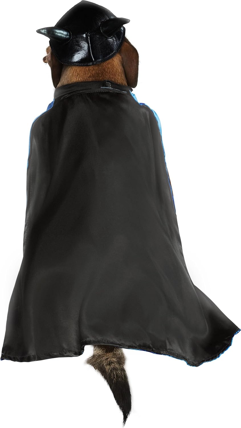 Dog wearing a black cape and hat on a white background at Pet Servo