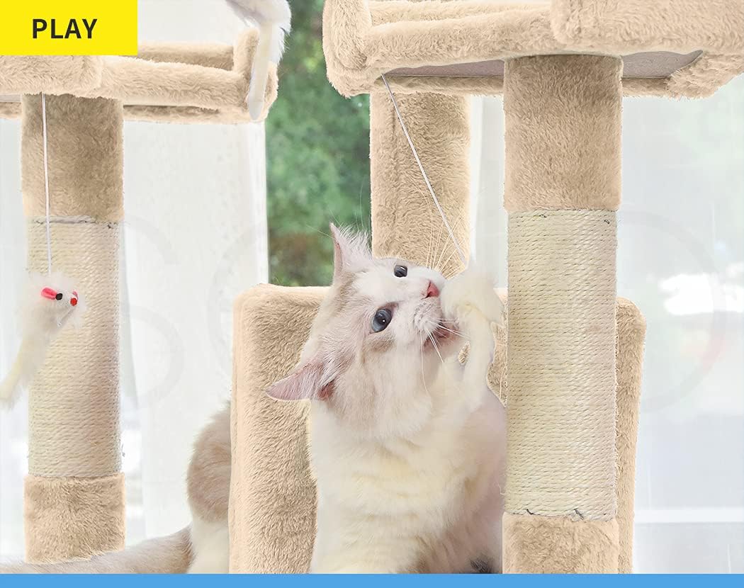 A cream-colored cat interacting with a beige cat tree with sisal-wrapped scratching posts in a bright indoor setting at Pet Servo