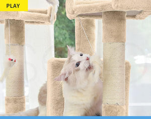 A cream-colored cat interacting with a beige cat tree with sisal-wrapped scratching posts in a bright indoor setting at Pet Servo