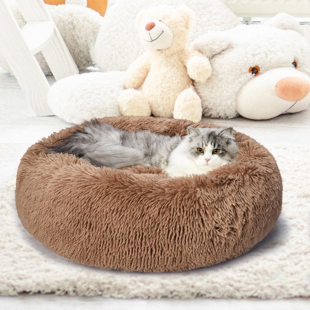Cat lying on a brown plush donut bed with teddy bears in the background at Pet Servo