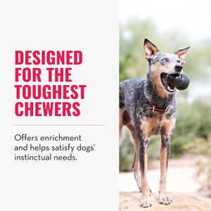 Dog with a ball in its mouth and text about being 'designed for the toughest chewers' at Pet Servo