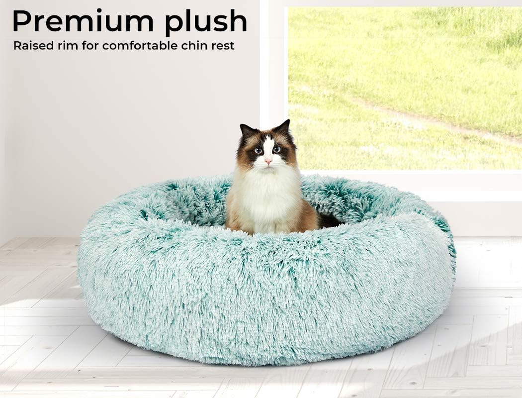 A fluffy light blue-green plush cat bed with a raised rim, shown with a long-haired cat sitting inside. Text in the top left reads 'Premium plush Raised rim for comfortable chin rest' at Pet Servo