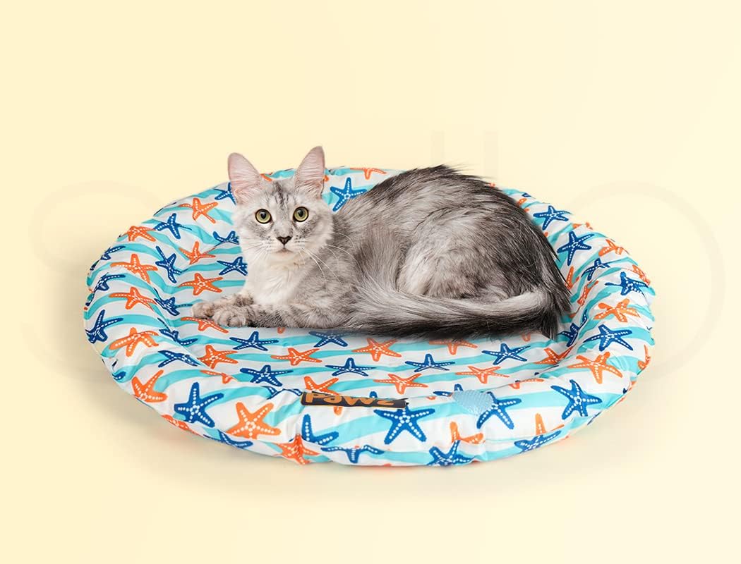 A gray and white cat lies on a round pet bed with a blue, orange, and white starfish pattern, set against a solid pale yellow background at Pet Servo