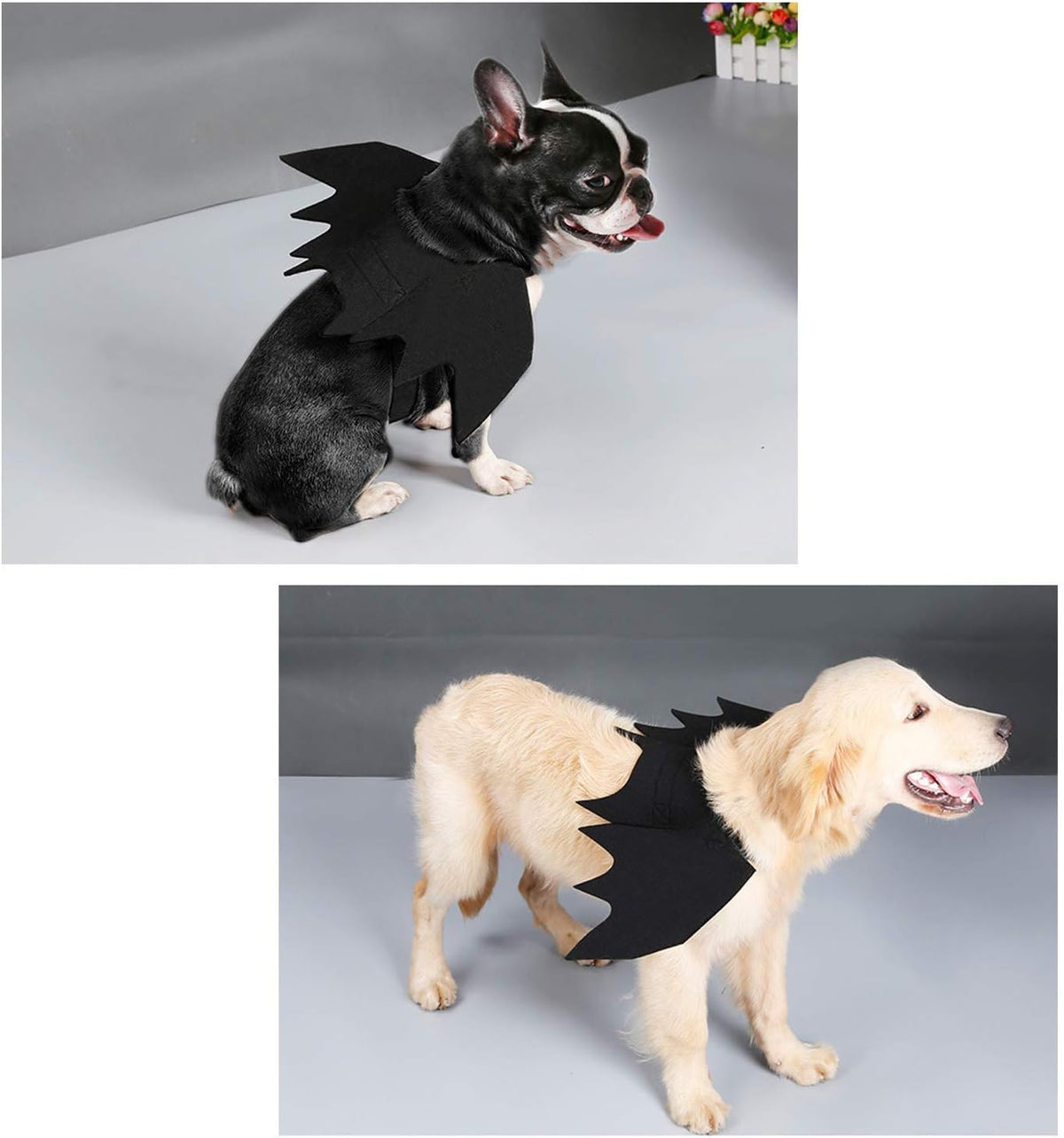 Two dogs wearing black bat-wing style pet costumes, shown in a two-panel composite on a gray studio background. The top panel shows a small black-and-white dog, and the bottom panel shows a light cream dog at Pet Servo