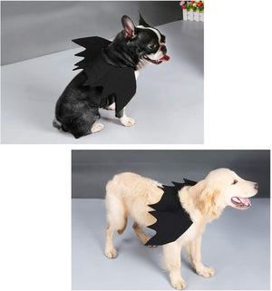 Two dogs wearing black bat-wing style pet costumes, shown in a two-panel composite on a gray studio background. The top panel shows a small black-and-white dog, and the bottom panel shows a light cream dog at Pet Servo