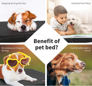 Collage of images showing a dog napping, interacting with a child, wearing sunglasses, and lying on a travel bed, with text highlighting benefits of a pet bed at Pet Servo