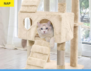 A fluffy white cat with blue eyes peeks out from an arched opening in a multi-level beige cat tree with scratching posts and stairs, set in a bright room with a window and light curtains at Pet Servo