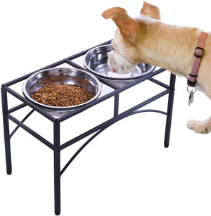A light tan dog wearing a pink-collar drinks water from a stainless-steel bowl on a black elevated metal pet feeder stand, with a second bowl containing kibble beside it, on a white background at Pet Servo