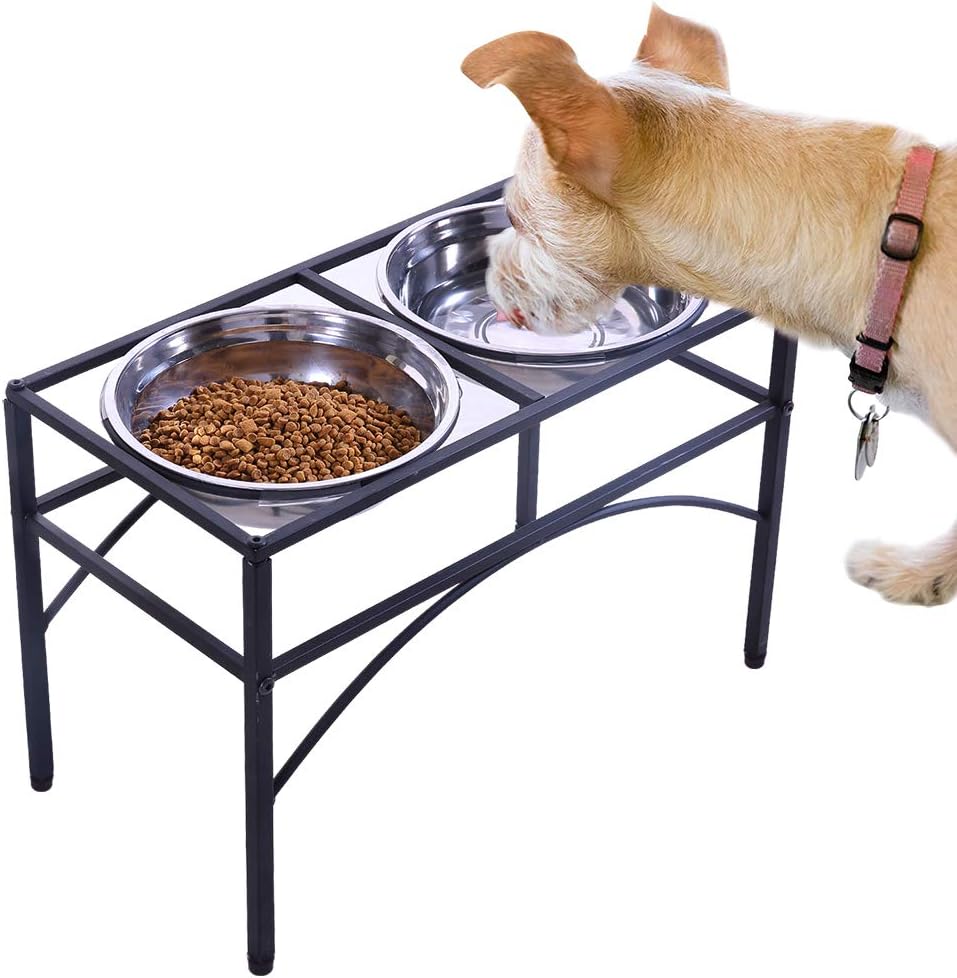 A light tan dog wearing a pink-collar drinks water from a stainless-steel bowl on a black elevated metal pet feeder stand, with a second bowl containing kibble beside it, on a white background at Pet Servo