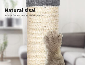 A cat paw reaching toward a sisal-wrapped scratching post in a softly blurred living room setting. Text on the image reads 'Natural sisal' and 'Stretch, flex and tone a variety of muscle at Pet Servo