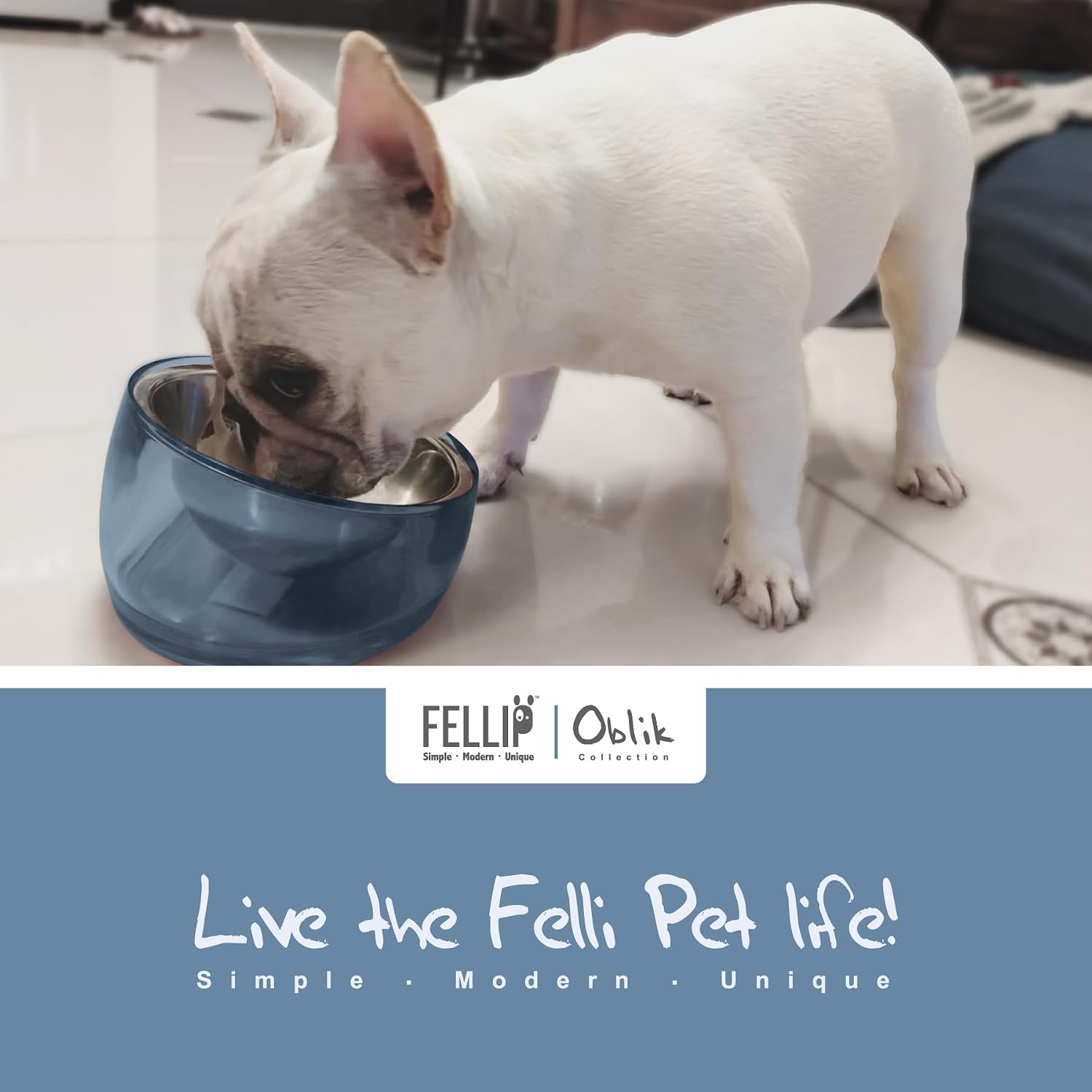 White dog drinking from a blue bowl with Felli Oblik branding at Pet Servo