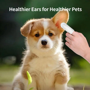 Puppy with a hand holding a ear cleaning tool against a blurred green background at Pet Servo